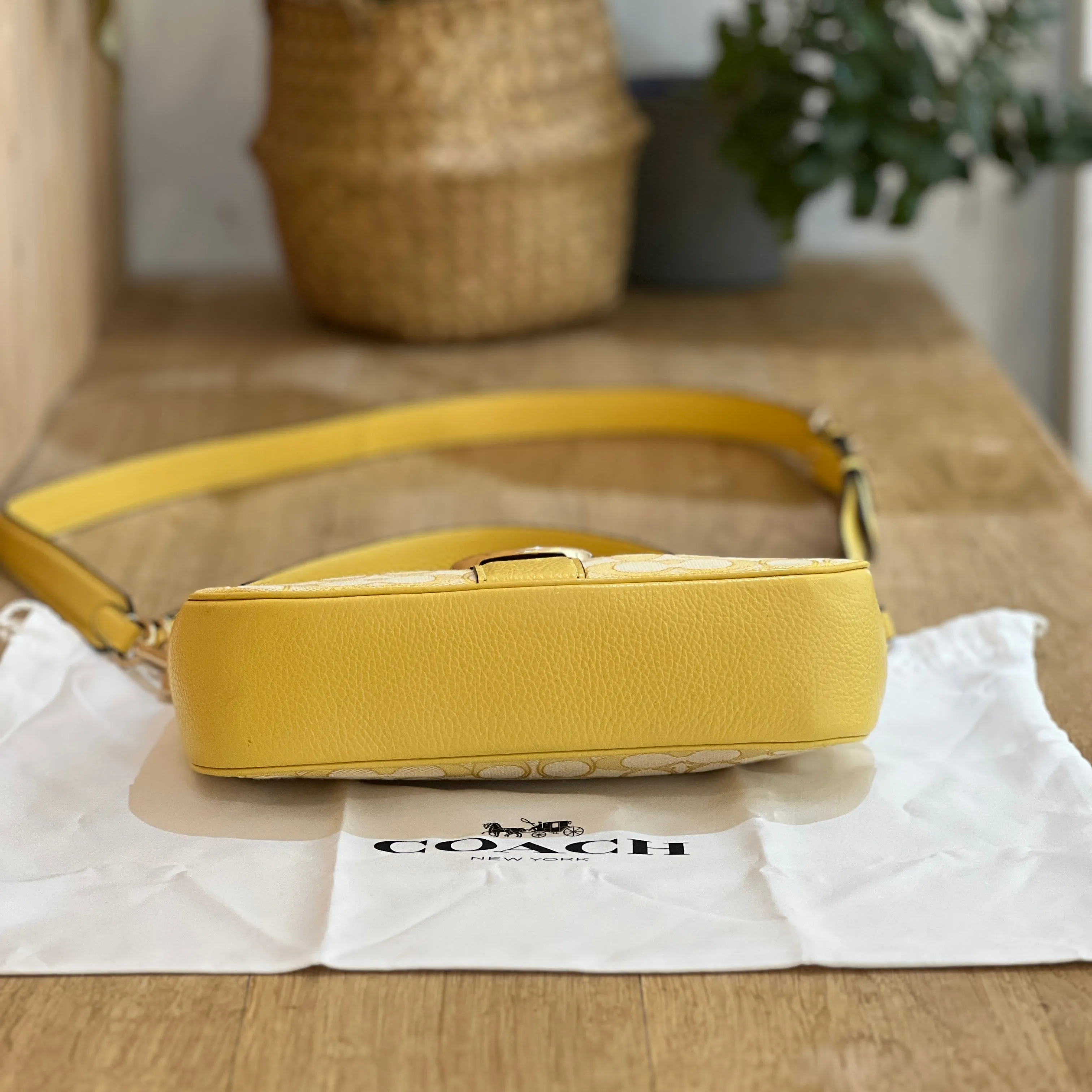 Coach Baguette Jacquard