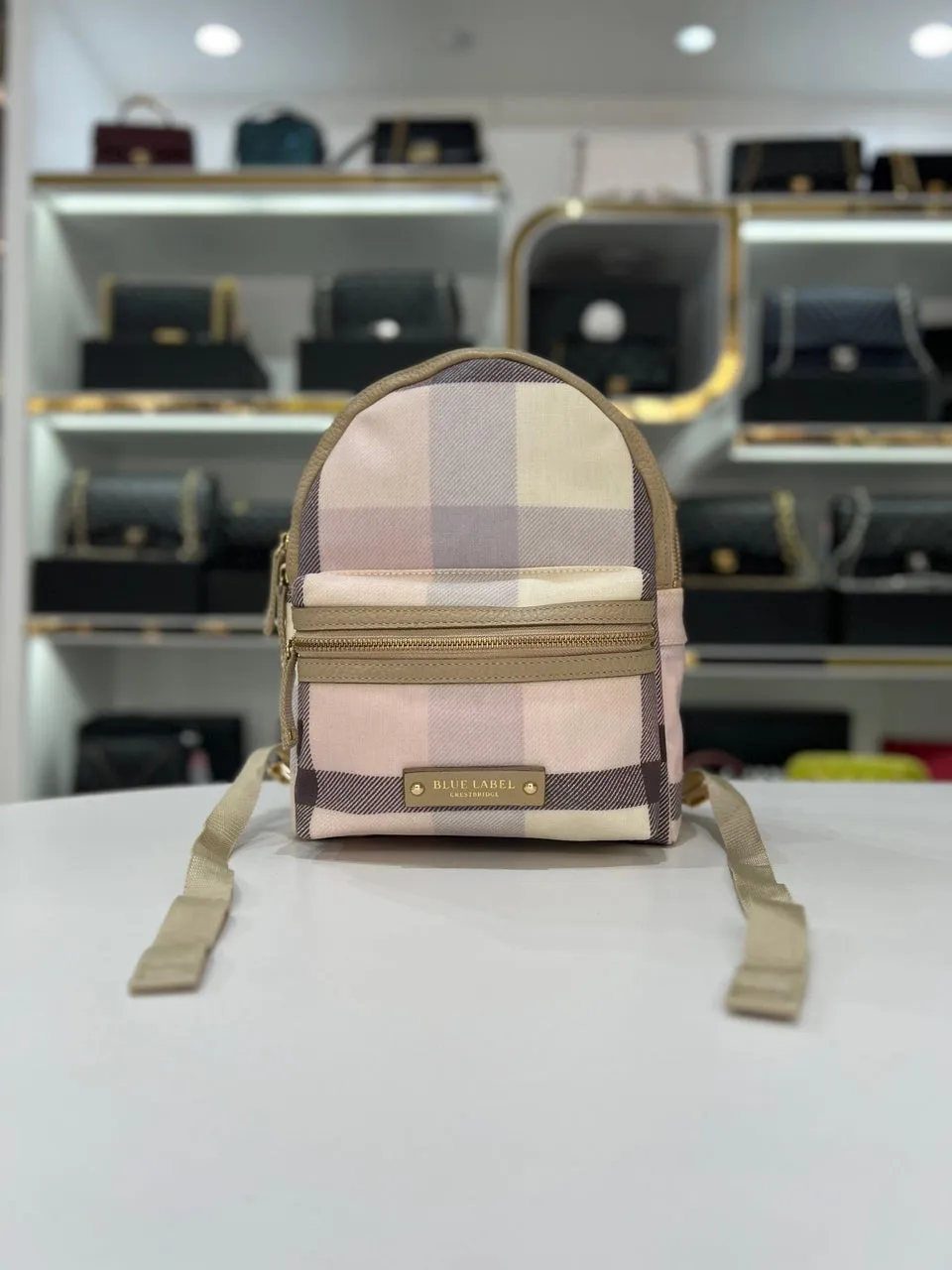 CRESTBRIDGE Blue Label Woman's Fashioned Backpack Bag