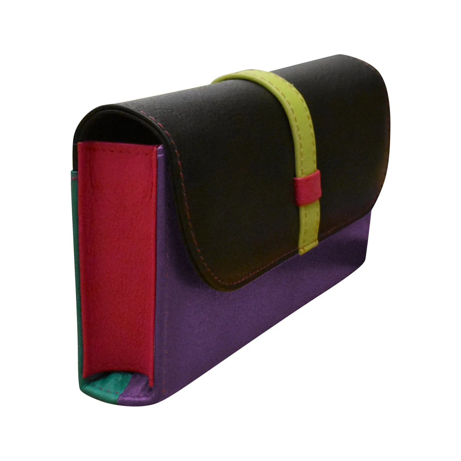 Flap Padded Eyeglass Case