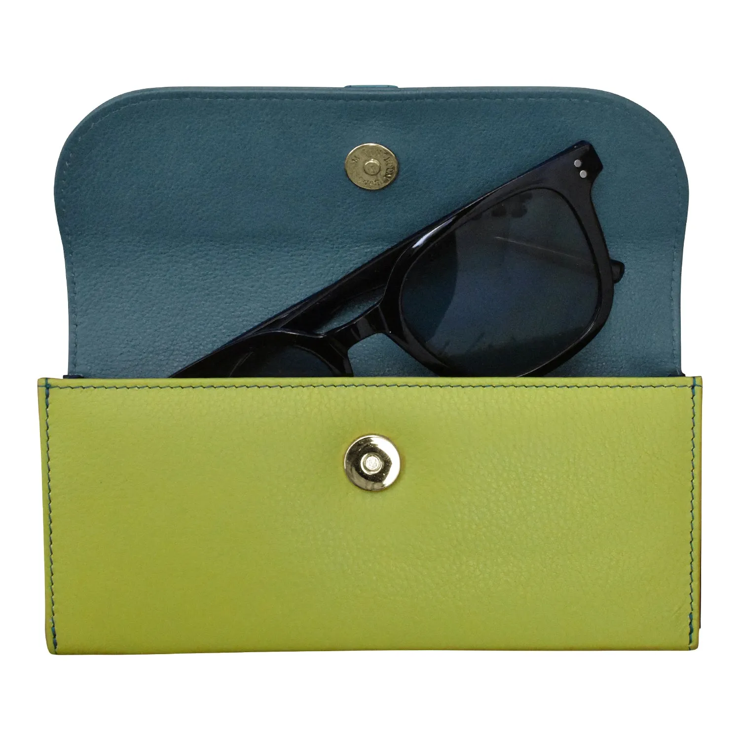Flap Padded Eyeglass Case