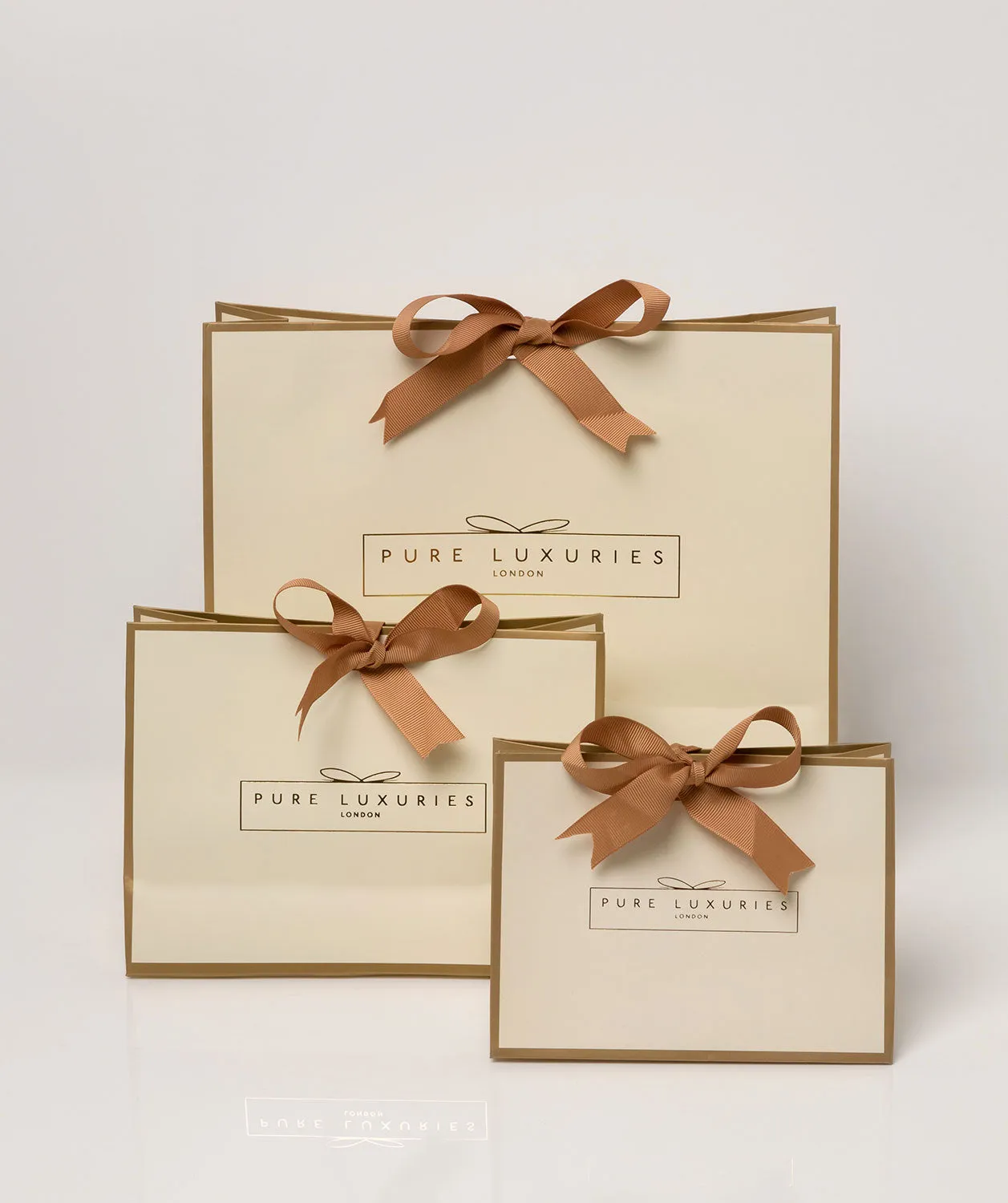 Luxury Ribbon Tied Regular Gift Bag